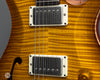 PRS Guitars - 2024 PRS DGT Semi-Hollow LTD - USED - Pickups