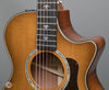 Taylor Acoustic Guitars - 512ce - 12-Fret  V-Class - Urban Ironbark - Frets