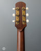 Iris Guitars - AB Quilted Big Leaf Maple - Tobacco Burst - Firestripe - Flower Pot - Back Headstock