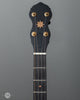 Pisgah Banjos - 11" Laydie Curly Maple - Short Scale - Front Headstock