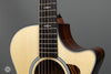 Taylor Acoustic Guitars - 312ce Next Generation - Frets
