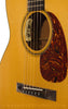 Collings 0001 G Acoustic Guitar - detail