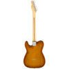 Fender Electric Guitars - American Performer Series Telecaster - Honey Burst - Back