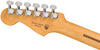 Fender Electric Guitars - Player Plus Stratocaster - Pau Ferro - Aged Candy Apple Red
