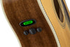 Fender Acoustic Guitars - PM-1 Standard Dreadnought - Tuners