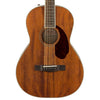 Fender Acoustic Guitars - PM-2 AM NE NAT Parlor