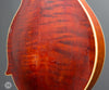 Gibson Mandolins - 1914 F4 - Used - Back Wear