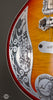 Teye Guitars - 2015 Coyote Used - Details