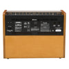 Fender Acoustic Amps - Acoustasonic 100