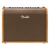 Fender Acoustic Amps - Acoustasonic 100