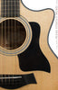 Taylor 354ce 12-string front detail photo