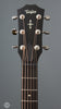 Taylor Acoustic Guitars - 517e Grand Pacific Builder's Edition - Wild Honey Burst - Headstock