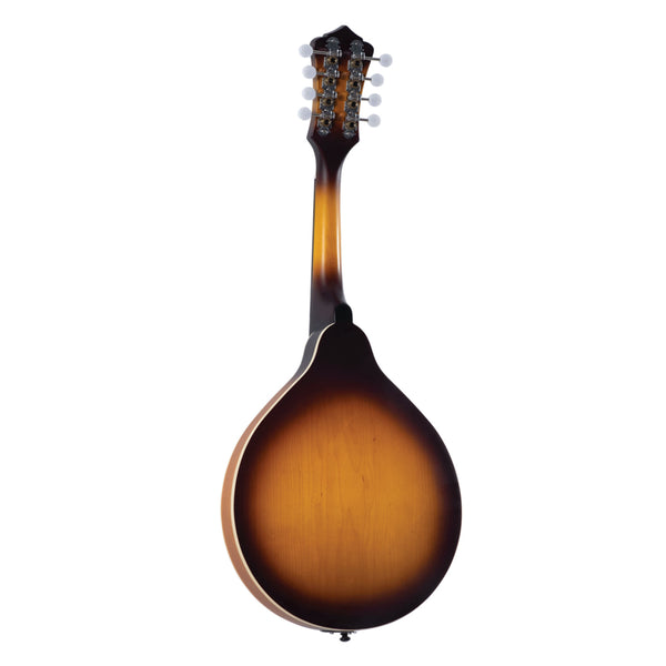 弦楽器 Recording King Mandolin Recording King Mandolin
