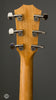 Taylor Acoustic Guitars - American Dream AD17e V-Class - Tuners
