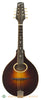 Mike Black A2 Mandolin with Virzi - front