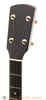 Bart Reiter Banjos - Buckbee Open-Back