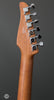 Tom Anderson Guitars - Cobra T - Light Tiger Eye Burst with Binding - Tuners