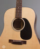 Martin Acoustic Guitars - D-21 Special - Details