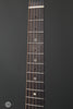 Iris Guitars - DE-11 - Dan Erlewine Model - Frets