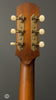 Iris Guitars - DF Adirondack - Tobacco Burst - Ivoroid Binding - Tuners