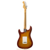 Fender American Standard Stratocaster - Back