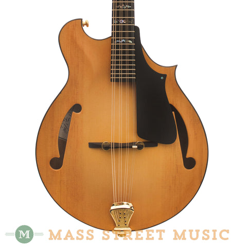 Herb Taylor 2008 Mandola - front close