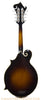 Kentucky KM-1000B F Mandolin - back