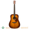 Leo Posch Acoustic Guitars - Dread - Front