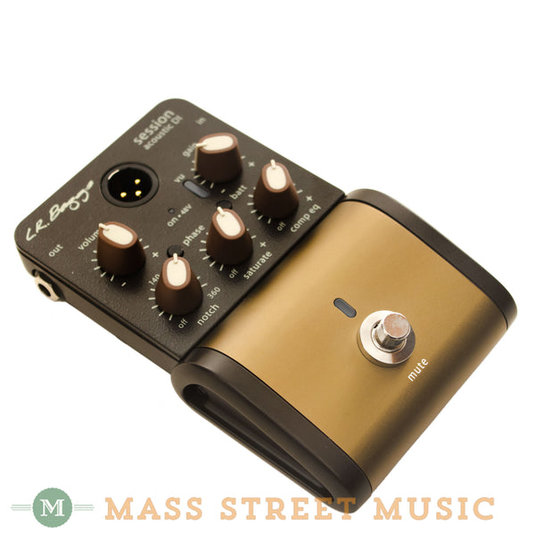 L.R. Baggs - Session DI | Mass Street Music