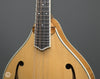 Bourgeois Mandolins - M5A - Aged Tone - Frets