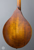 Eastman Mandolins - MD305 - Back Angle