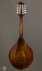 Eastman Mandolins - MD505-CS - Back
