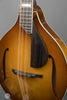 Eastman Mandolin - MDO605 - Goldburst - Octave Mandolin - PIckguard