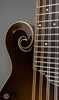 Collings Mandolins - MF5 - Cremona Burst - Frets