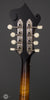 Collings Mandolins - MF GT - Sunburst - Tuners