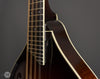Collings Mandolins - 2010 MT2 Mandola Used - Frets