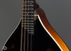 Collings Mandolins - MT GT Black Top - Frets