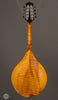 Collings Mandolins - MT GT - Honey Amber - Back