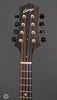 Collings Mandolins - MT GT - Sunburst - Headstock