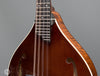 Collings Mandolins - MT GT Sheraton Brown - Frets