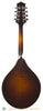 Collings MT GT A-Style Mandolin - back