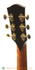 McPherson MC 3.5 RE/SE Acoustic Guitar - tuners