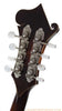 Morris F Style Mandolin - back head stock and tuners