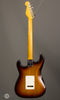 Don Grosh Electric Guitars - NOS Retro - 59 Burst - Back
