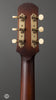 Iris Guitars - OG - Tobacco Burst - Ivoroid with Firestripe Guard - Tuners