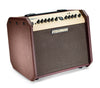 Fishman Amps - Loudbox Mini Bluetooth