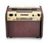 Fishman Amps - Loudbox Mini Bluetooth - Back