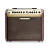Fishman Amps - Loudbox Mini Bluetooth