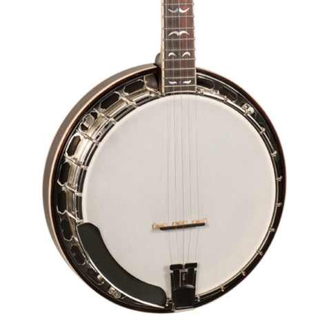 Recording King - RK-R35-BR Resonator Banjo
