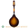 Summit A-100S Mandolin - Back